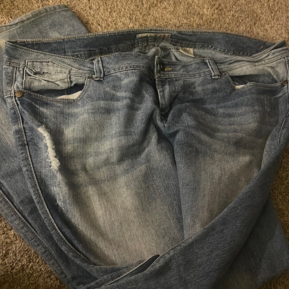 Designer Junior Plus Jeans! Used but still got lots of fun left to use!!!!